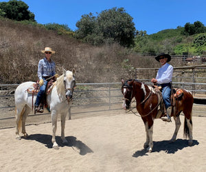 Back in the Saddle Again!