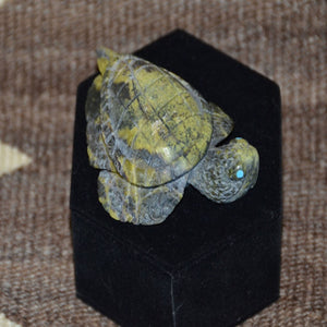 Zuni Fetish : Turtle : Ben Kaamasee : ZF-3 - Getzwiller's Nizhoni Ranch Gallery