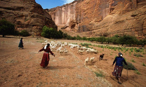 Navajo Land and People