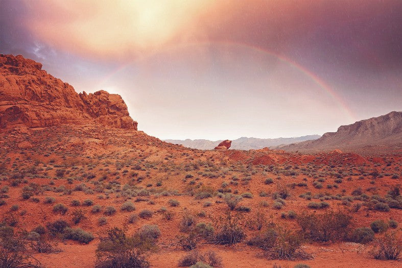 Treasure at the End of the Rainbow! 