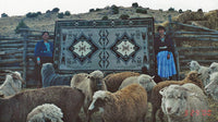 Teec Nos Pos Navajo Rug : Linda Nez : Churro 224 : 72" x 120" (6' x 10'), view 3