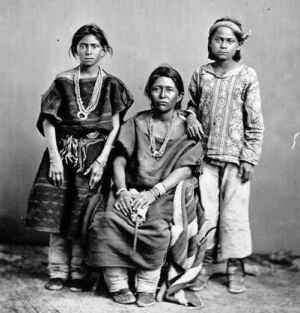 Navajo - The Beauty Way