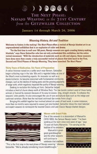 Manta : Navajo Weaving : Elena Teller : Churro 346 : 47" x 55" (3'11" x 4'7"), view 9
