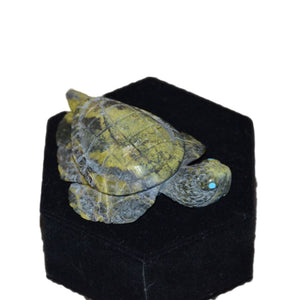 Zuni Fetish : Turtle : Ben Kaamasee : ZF-3 - Getzwiller's Nizhoni Ranch Gallery