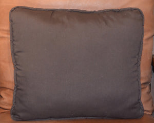 Navajo Pillow : Transitional : P 102
